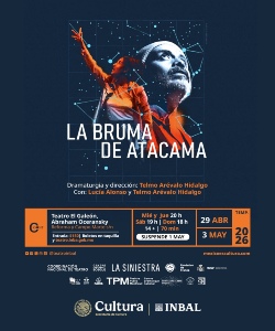 La bruma de Atacama