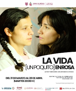 La vida [un poquito] en rosa