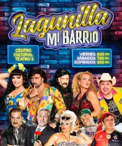 Lagunilla mi barrio